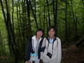 083_foret